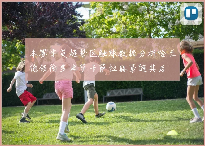 本赛季英超禁区触球数据分析哈兰德领衔多库萨卡萨拉赫紧随其后