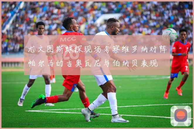 尤文图斯球探现场考察维罗纳对阵帕尔马的吉奥瓦尼与伯纳贝表现