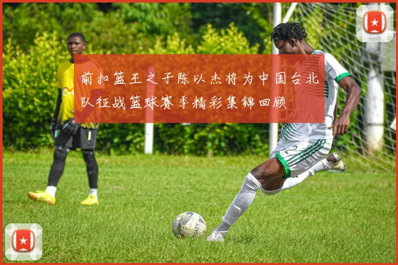 前扣篮王之子陈以杰将为中国台北队征战篮球赛季精彩集锦回顾